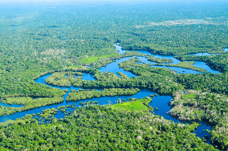 Risalire Il Rio Delle Amazzoni