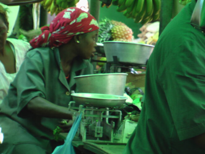 Trip Notes Hilane Park