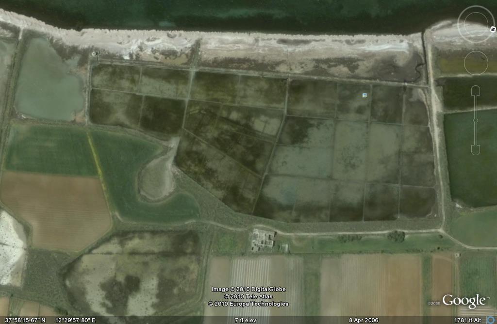 Protected: CasalePiacentino