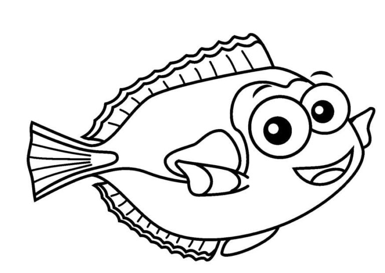 pesce-dottore-23082