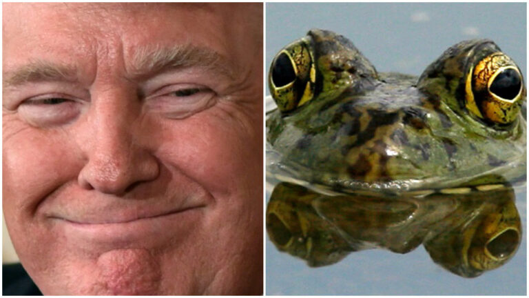 TRUMPEPSTEIN
