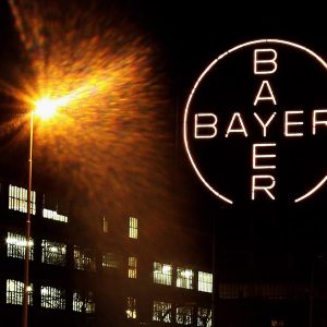 BAYER AVVELENATA