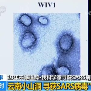 wuhan4