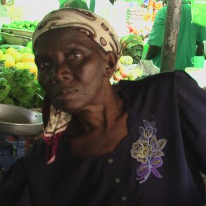 Trip Notes (Inside Mozambique1)
